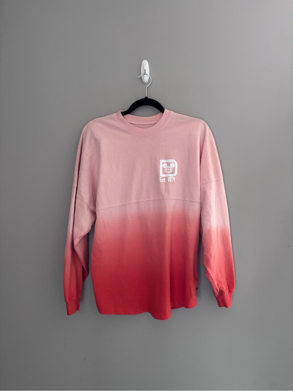 Disney Parks Spirit Jersey - S